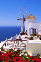 Famous windmill of Santorini, Greece with red flowers