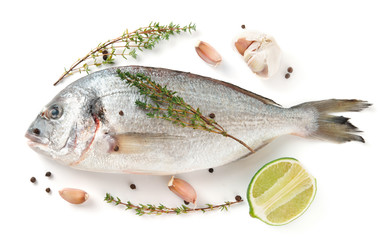 Gilt-head bream with herbs and spices isolated on white