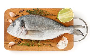 Gilt-head bream with herbs and spices isolated on white