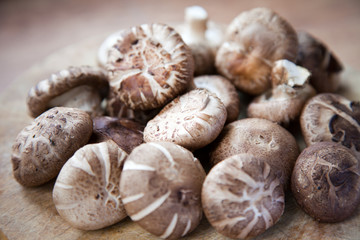 Shiitake Mushroom