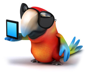 Fun parrot © Julien Tromeur