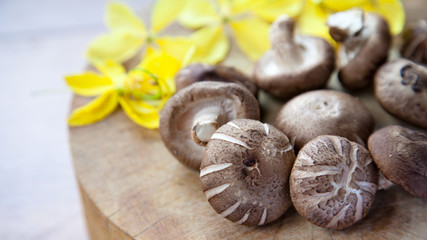 Fototapeta na wymiar Shiitake Mushroom