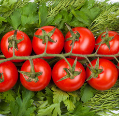 Cherry tomatoes on greens