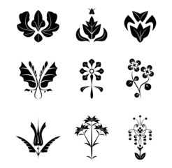 Silhouettes of ornamental flowers and leaves with veins