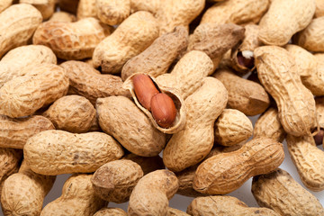 .Dried peanuts in closeup on the white background