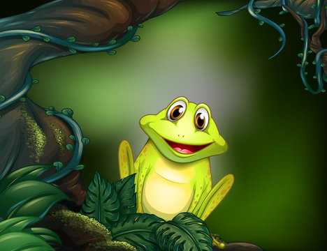 A frog at the forest
