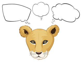 A head of a tiger with empty thoughts