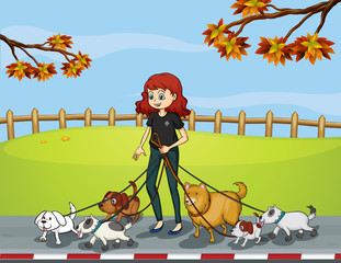 Een dame in het park aan het wandelen met haar huisdieren