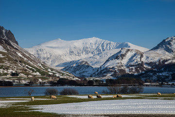 Winter white Snowy scenes around Snowdonia 