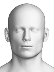 3d rendered illustration - white male head
