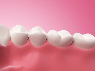 3d rendered illustration - lower teeth