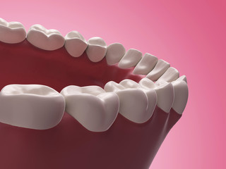 3d rendered illustration - lower teeth