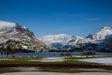 Fototapeta na wymiar Zima, biały, Snowy sceny w Snowdonia