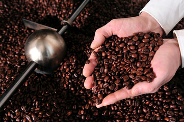 Qualität von Kaffee prüfen - Kaffeerösterei