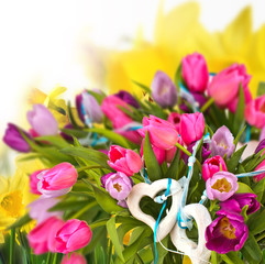 Herzliche Blumengrüße: Frühlingsblumen, Tulpen, Narzissen