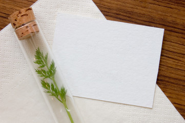 試験管とカード