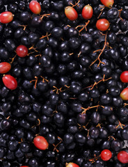 Grapes