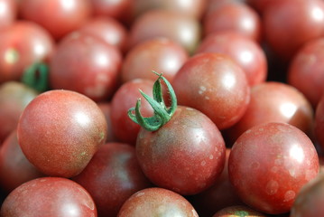 Tomate Black Cherry