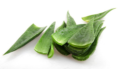 Fototapeta premium aloe vera