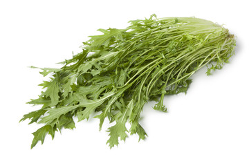 Fresh green Mizuna