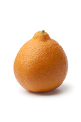 Single Clementine mandarin