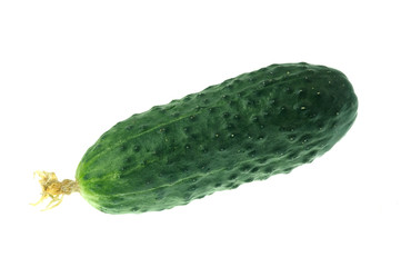Fresh cucumber vegetable