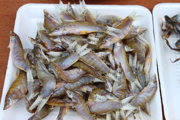 Dried Loaches