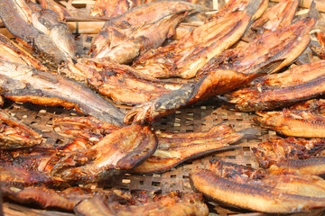 Dried freshwater fishes