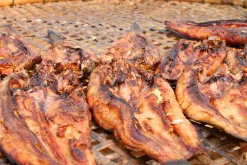 Dried freshwater fishes