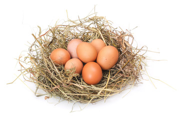 Brown eggs in a nest
