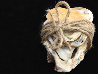 Oysters and rope