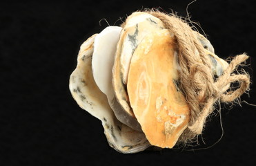 Rope and oysters