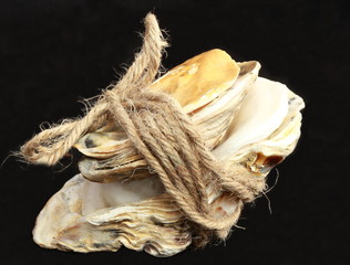 Shell with rope