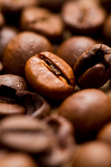 Kaffebohnen im Detail