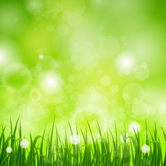 Fototapeta na wymiar Ilustracja wektorowa z naturalnym tle zielonej trawy