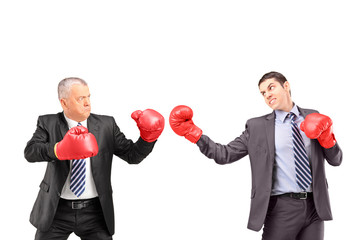 Businessmen boxing
