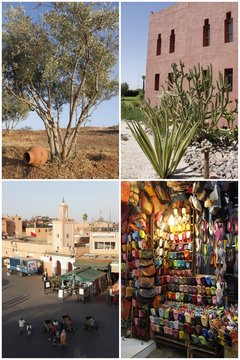 Désert de l'Atlas et Marrakech au Maroc