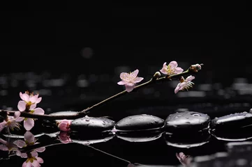 Foto auf Acrylglas Blühender Zweig des Kirschbaums mit Zen-Steinen © Mee Ting