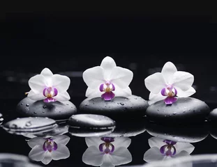Foto op Aluminium orchideebloem en stenen in waterdruppels © Mee Ting