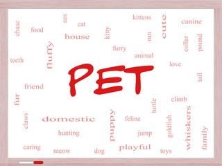 Pet Word Cloud Concept on a Dry Erase Board