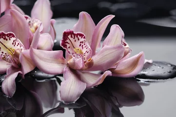 Wandaufkleber Spa-Konzept – wunderschöne rosa Orchidee und Zen-Steine © Mee Ting