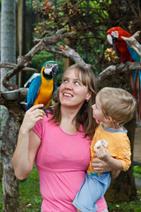 Obraz premium family with macaws in tropical nature