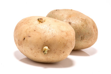 Potatos