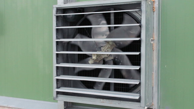 Opening shutters and working fan