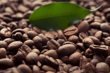 Obraz premium coffee beans background