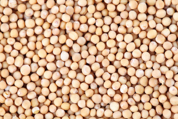 Mustard seeds background