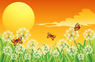 Een zonsonderganglandschap met drie oranje vlinders