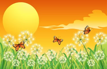 Fototapeten Eine Sonnenuntergangslandschaft mit drei orangefarbenen Schmetterlingen © GraphicsRF