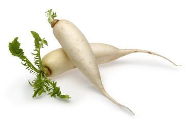 Daikon White Radish © mates