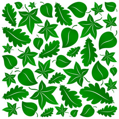 green leaves background